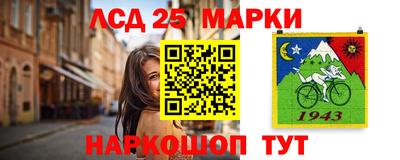 2c-b Гатчина