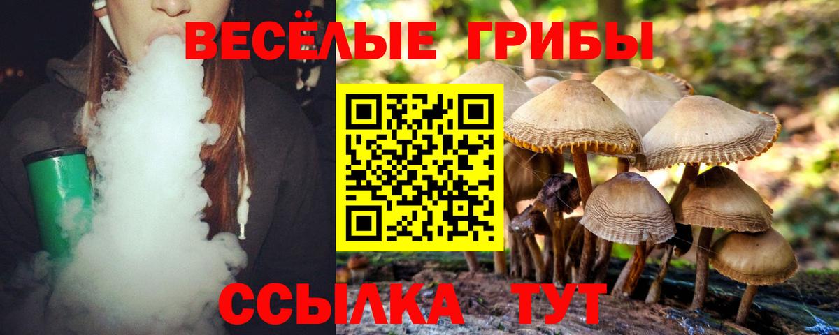 Псилоцибиновые грибы прущие грибы Реж