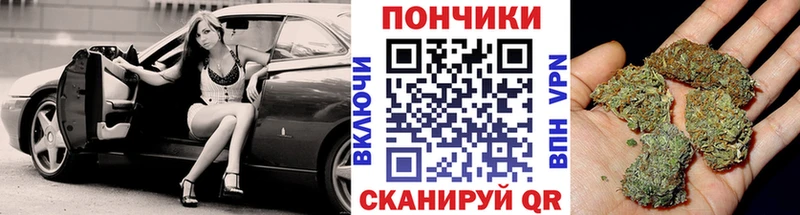 Бошки Шишки семена  Реж 